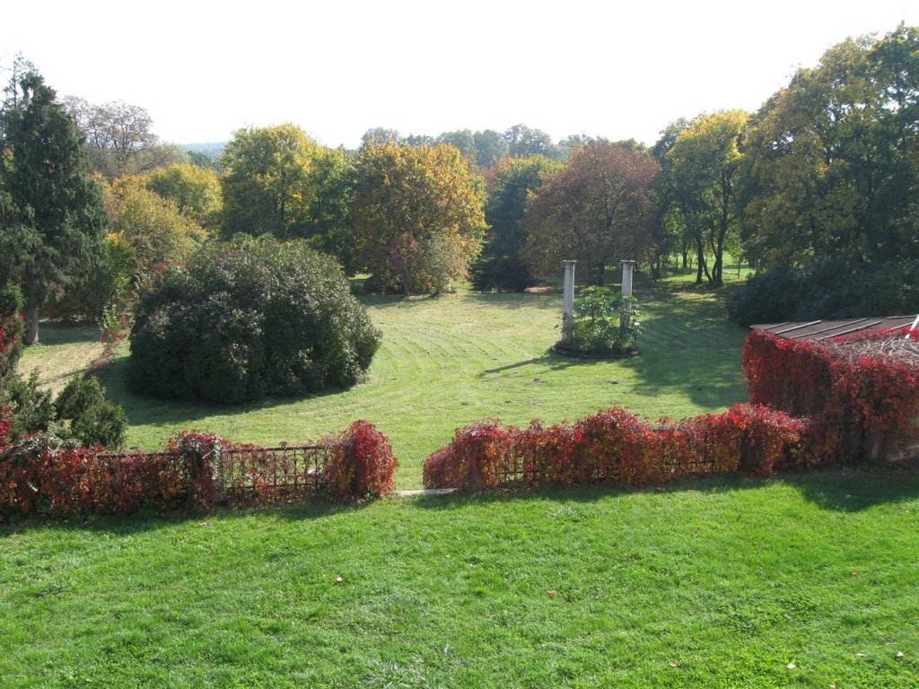 English garden by Mihaly Barosi