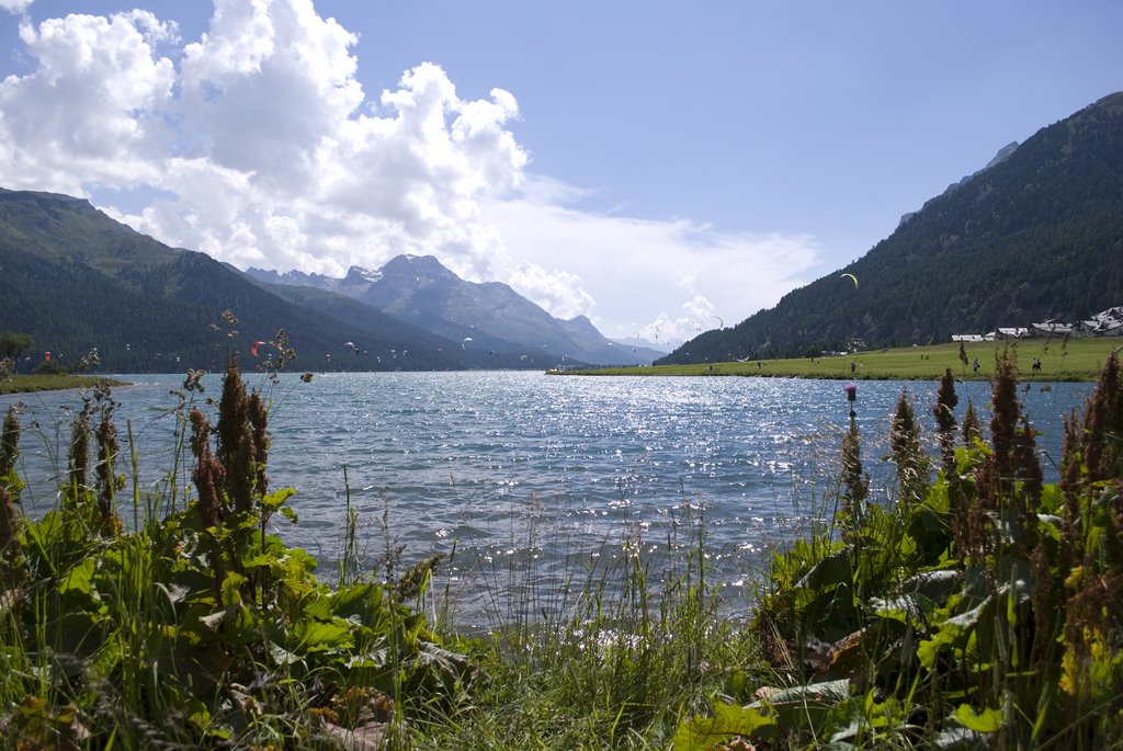 Lake Silvaplana view towards Sils by Hauke Wittern