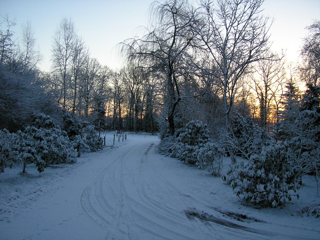 Winter in Kotten by naaldenberg