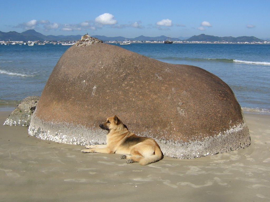 O guarda-pedra by Angelo Chiabotto Via…