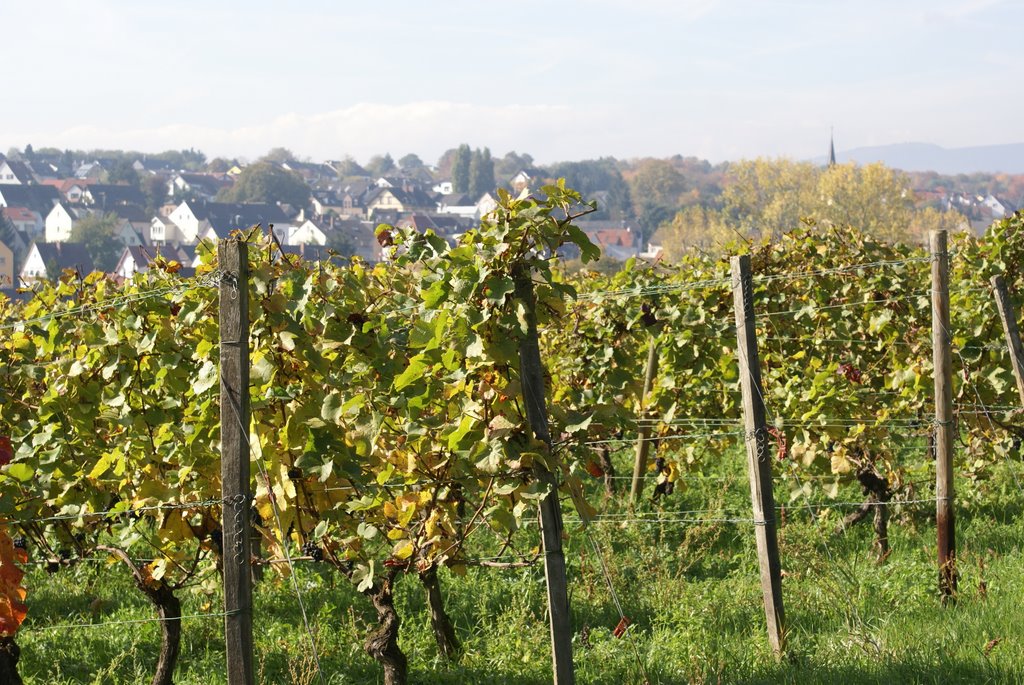 Walkenberg mit Blick auf Oberwalluf by Red Lips