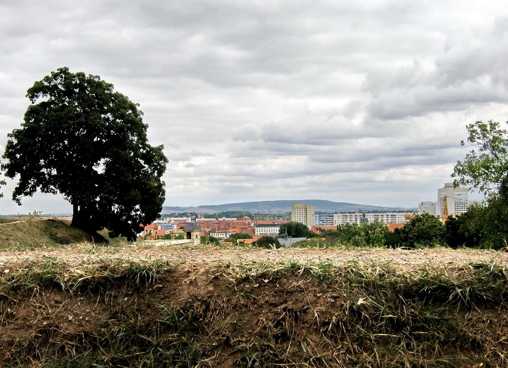 Blick von der Zitadelle Petersberg by Ellen Haider