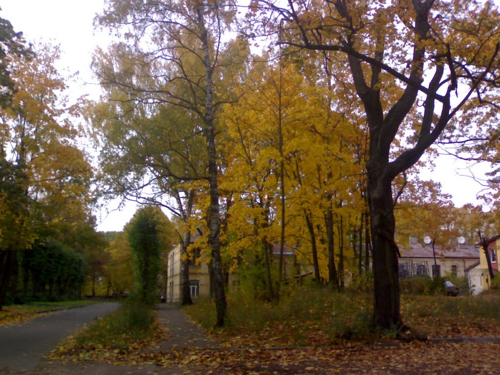 Autumn view from F.Cander street (13.10.2008) by cat99