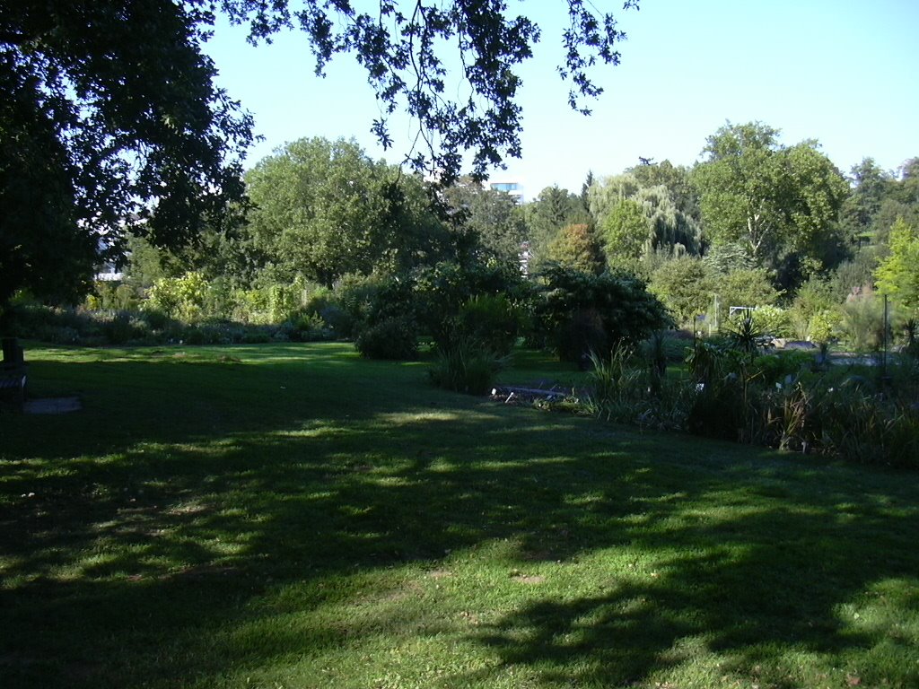 Botanischer Garten Universität Stuttgart-Hohenheim by fildermann