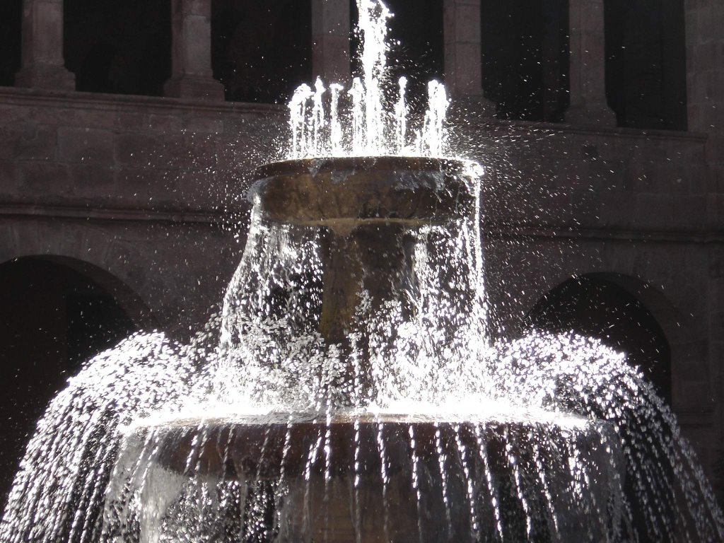 Fuente del Palacio municipal by GERMAN ZECENARRO BEN…