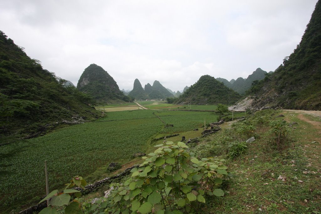 Lăng Hiếu, Trùng Khánh, Cao Bằng, Vietnam by Peter Nagel