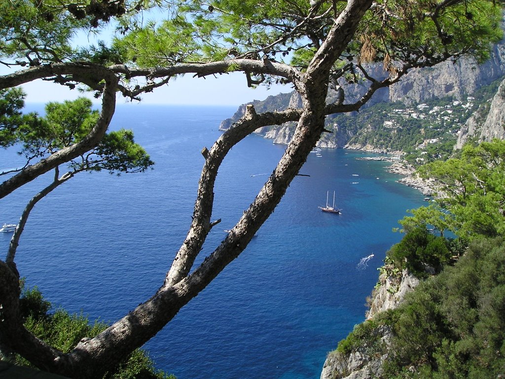 Capri by maurizio camillotti