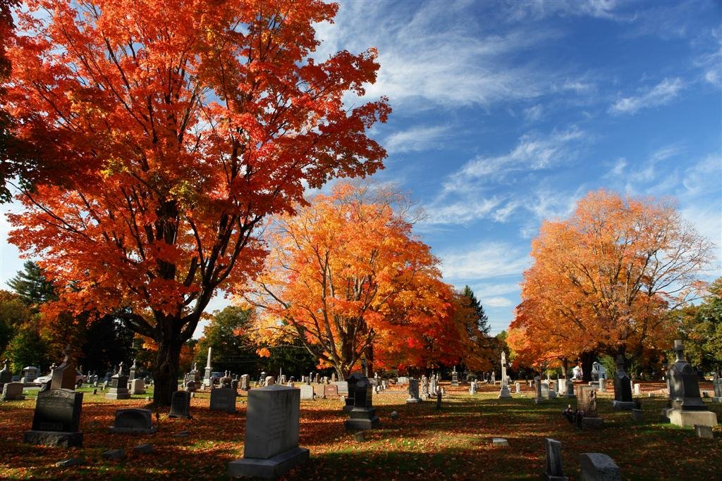 Blazing fall Foliage - St Bernard's Cemetary - Concord, MA by John M Sullivan