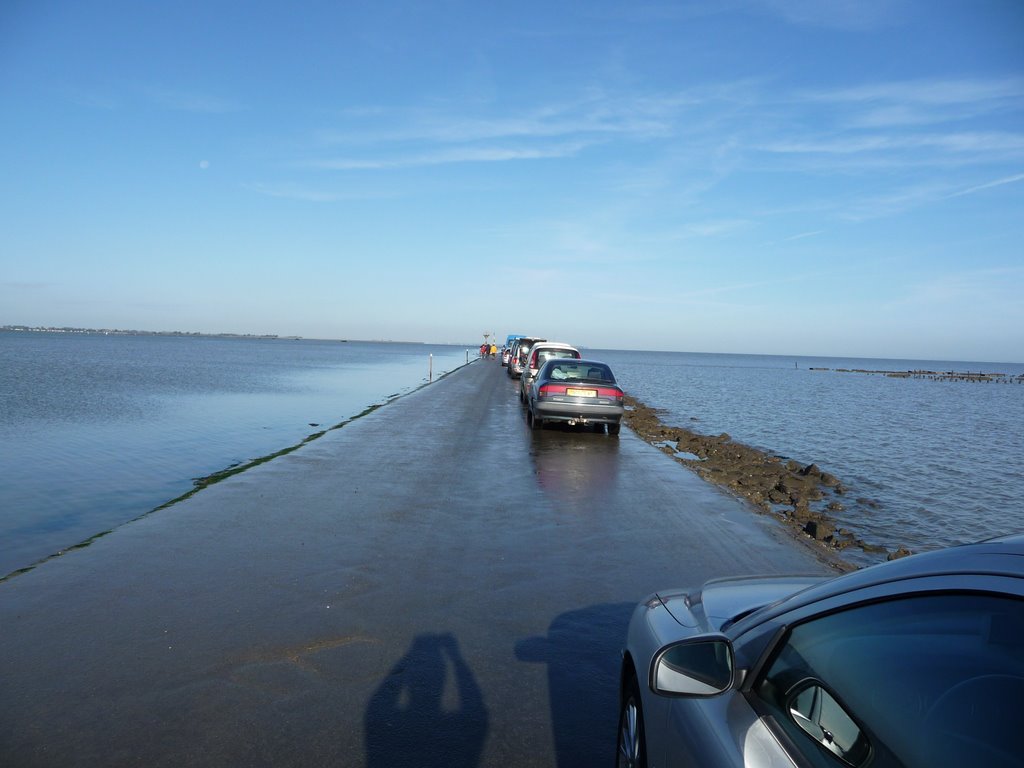 Le Gois, les voitures avancent avec la marée, mètre par mètre, Ile de Noirmoutier. by J.Hache