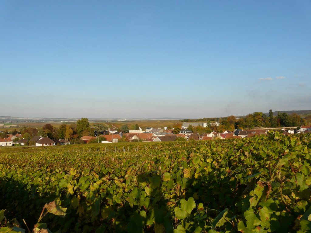 Ludes-automne 2008 by alain sohet