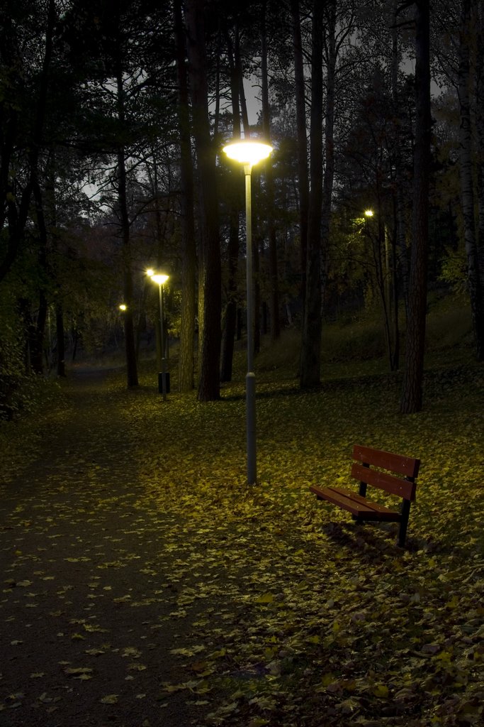 Park bench in Mäntyniemi at night by Christjan Schumann