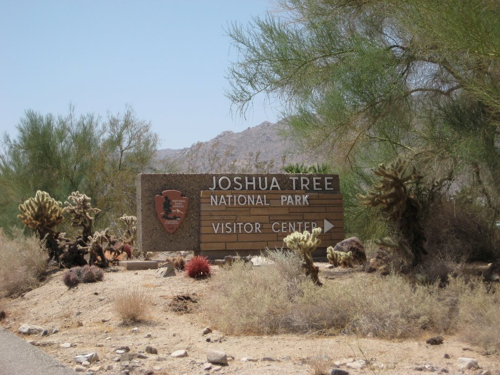 Joshua Tree National Park by wnweber