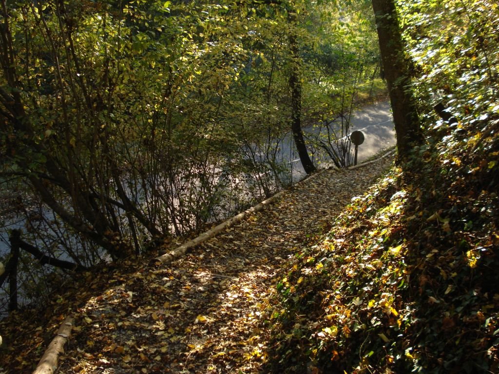 Wanderweg auf dem Ottenberg by Thomas Merz-Abt