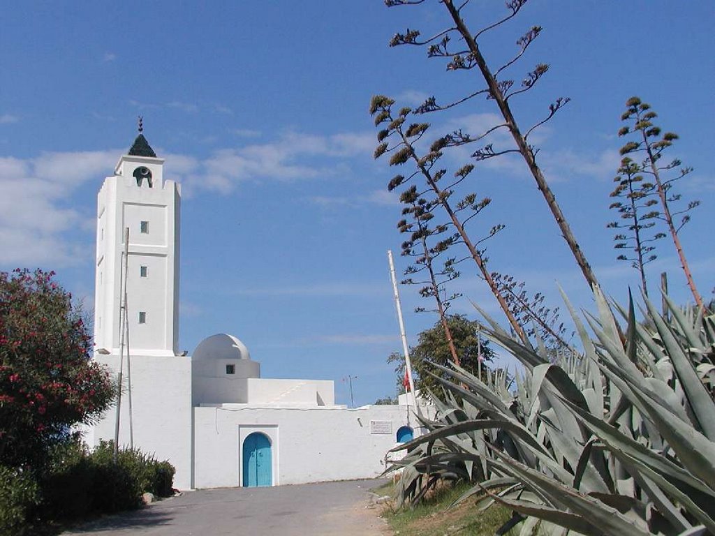 Tunis, Sidi Bou Said by Marcin Ościłowski