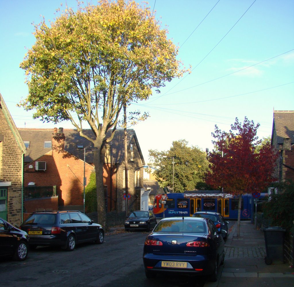 Looking down Willis Road, Hillsborough, Sheffield S6 by sixxsix