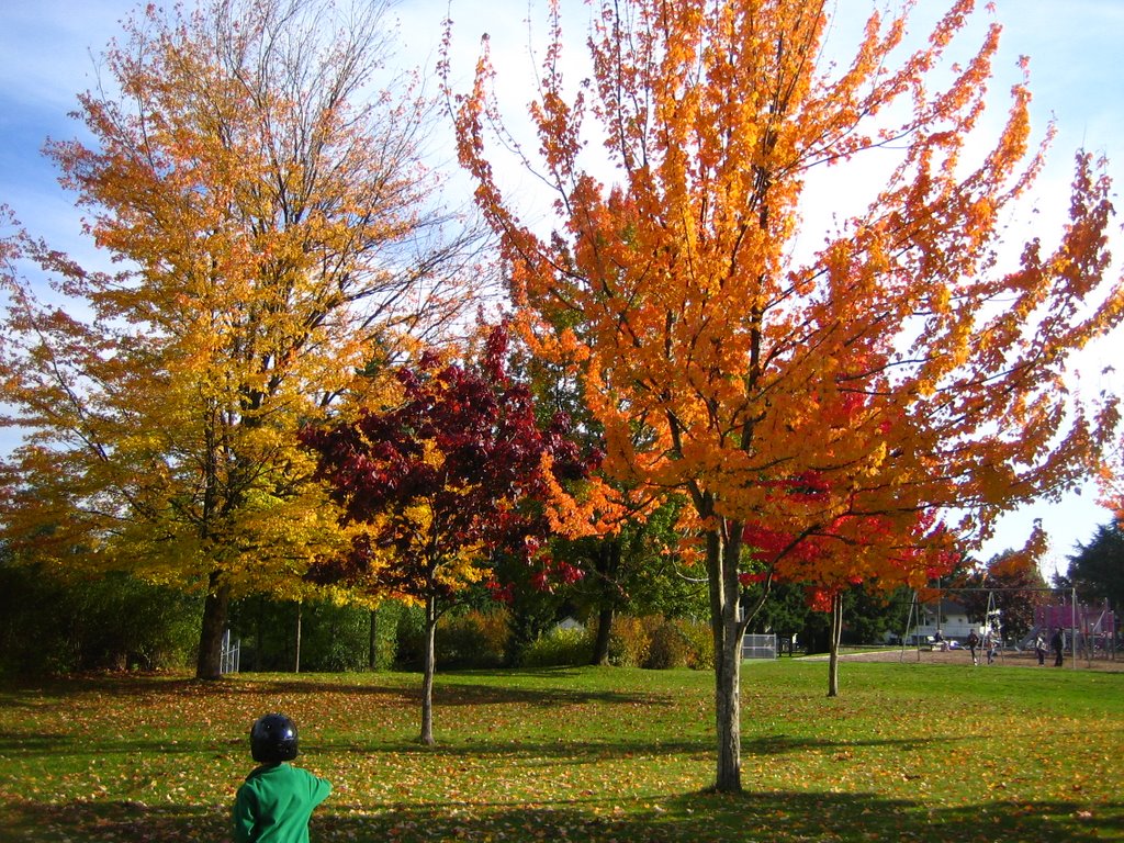 Unwin Park by Edwin Brion