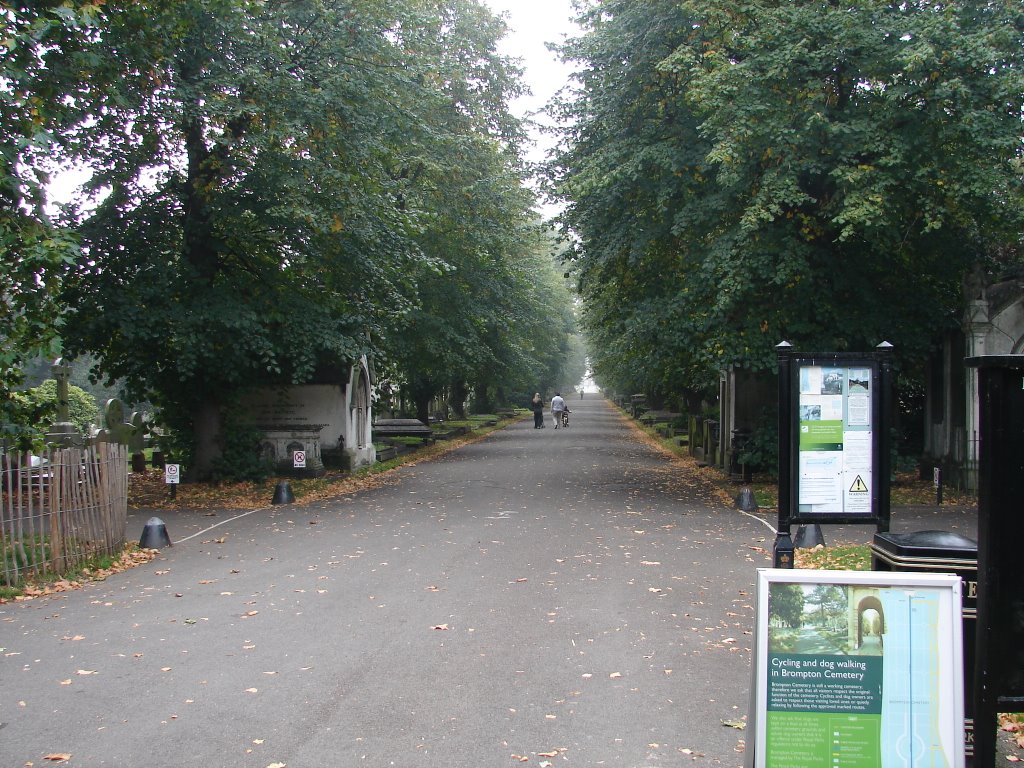 Brompton Cemetery - London (vpn) by vicentepn