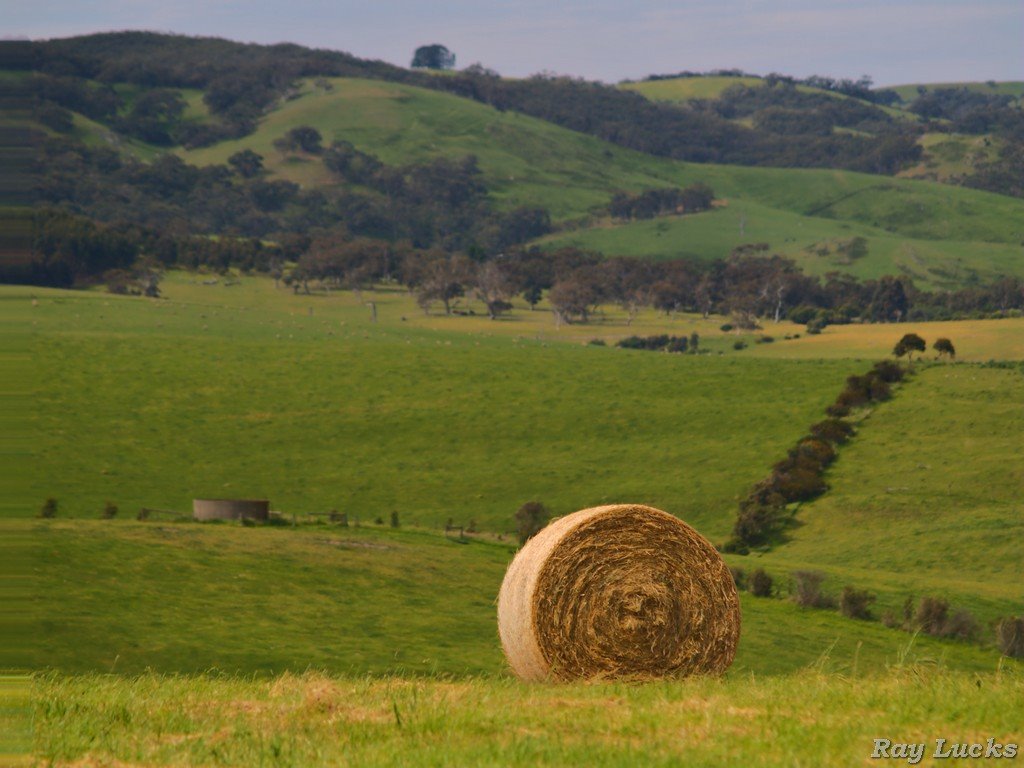 Wattle Flat Country area by Rainer2