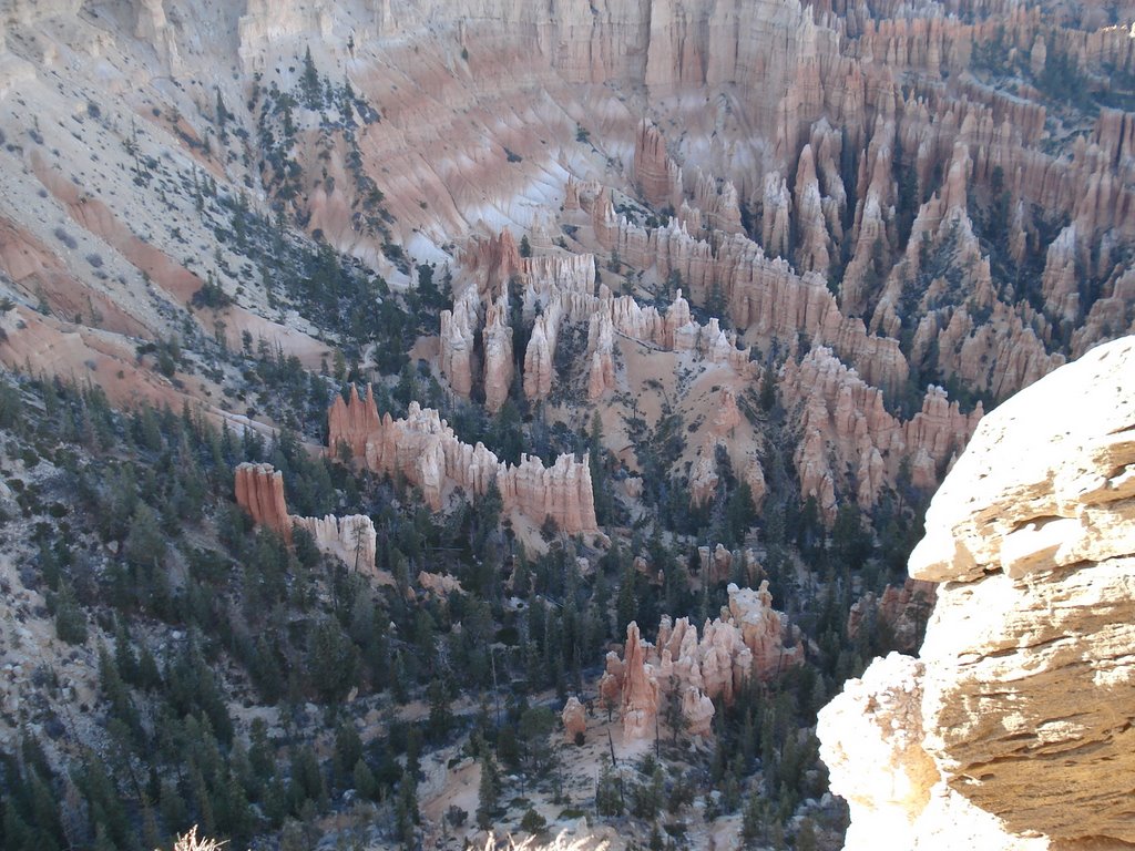 Bryce Canyon National Park by Piotr Sroga