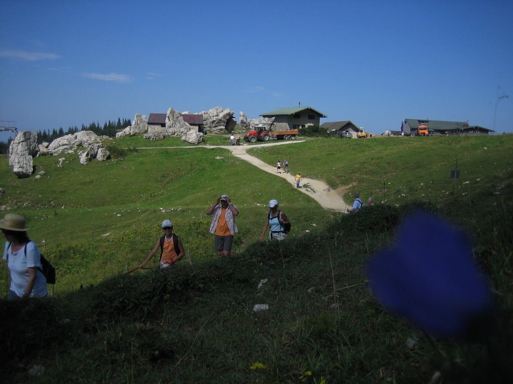 Blick auf die Steinlingalm by Steffen Schnitzer