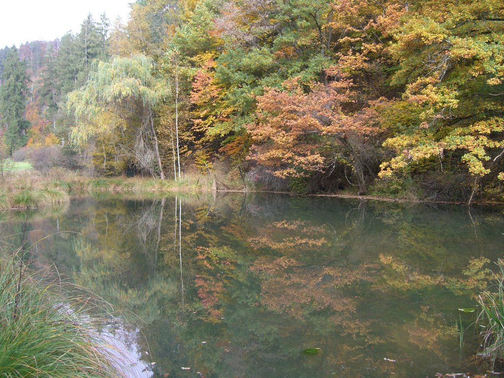 Indian_Summer_of_the_Schönbuch_Forest by Wolf77