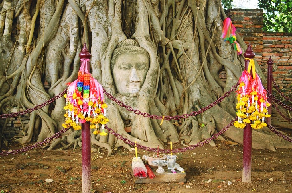 Pratuchai, Phra Nakhon Si Ayutthaya District, Phra Nakhon Si Ayutthaya 13000, Thailand by Ivan68