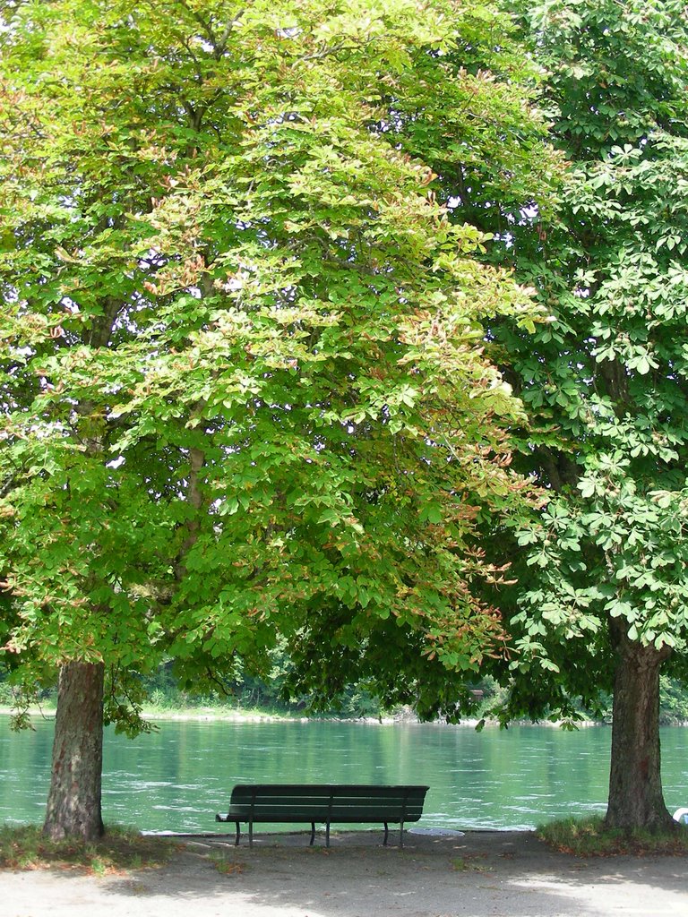 In Ellikon am Rhein, Kanton Zürich, Schweiz by Augustinfoto