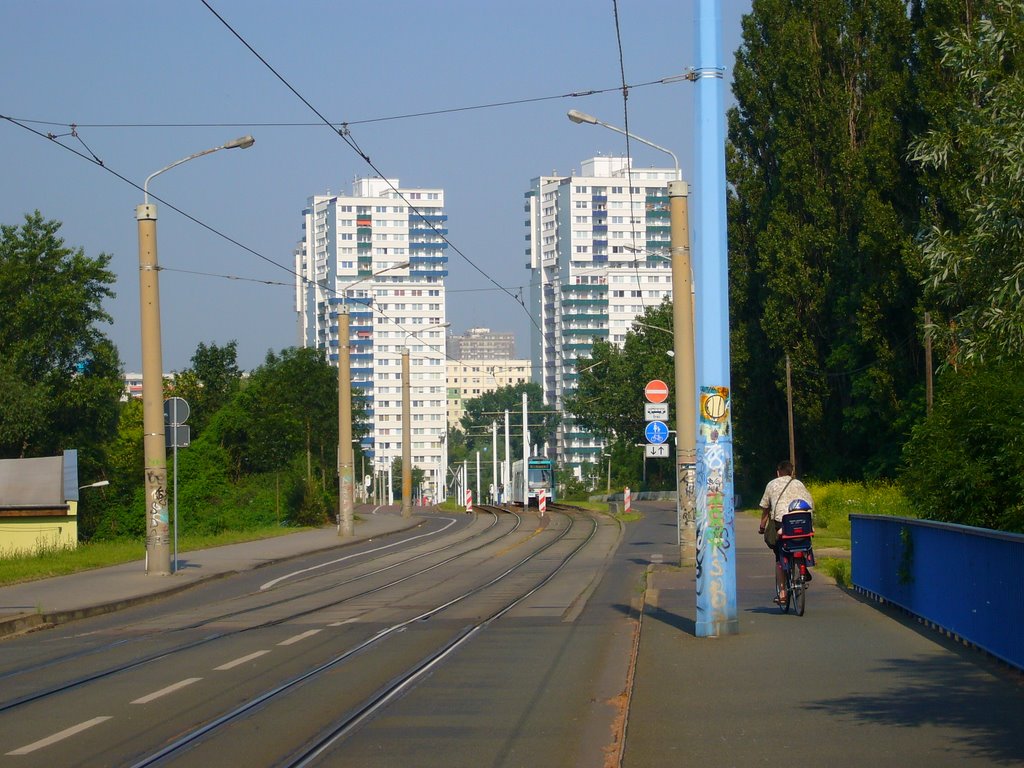 Halle Neustadt Punkthochhäuser (2007) by halleliebe