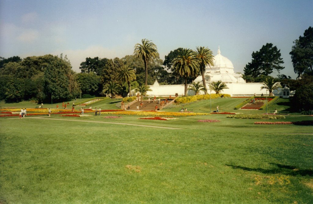 USA august 1995 - S.F. Botanic Garden by ilnani