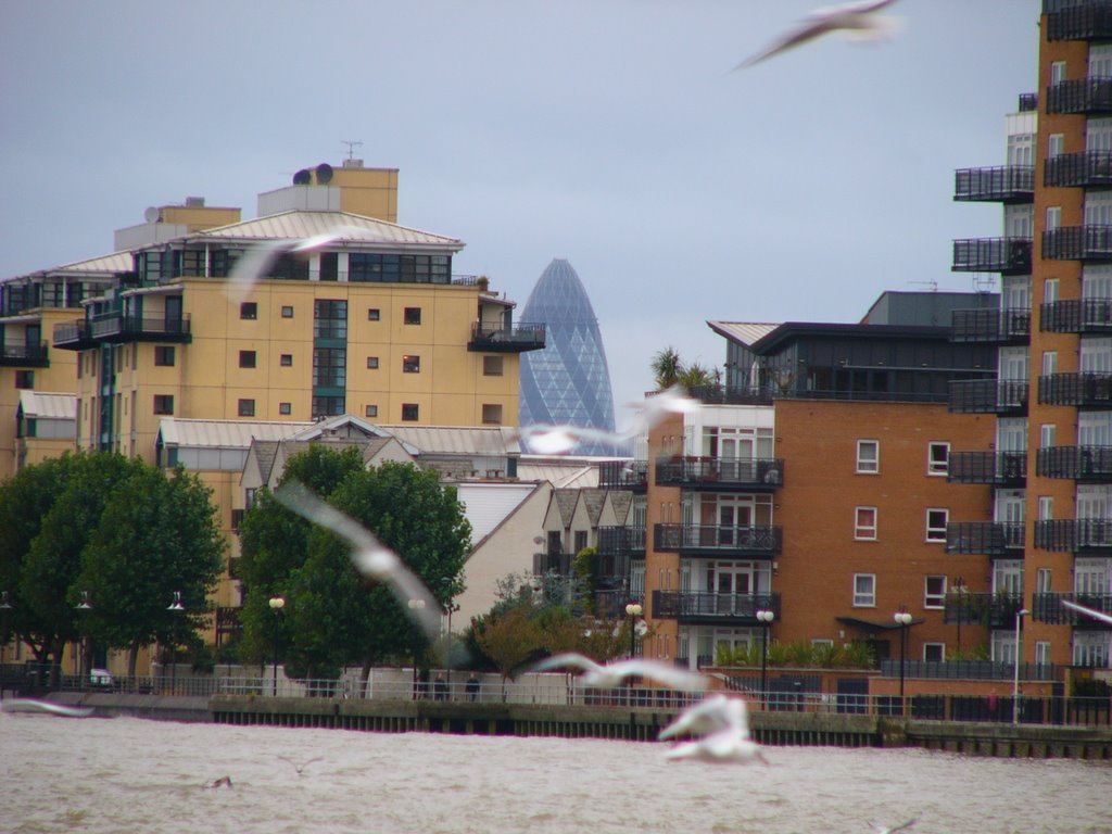 View from Greenwich by miguel.live