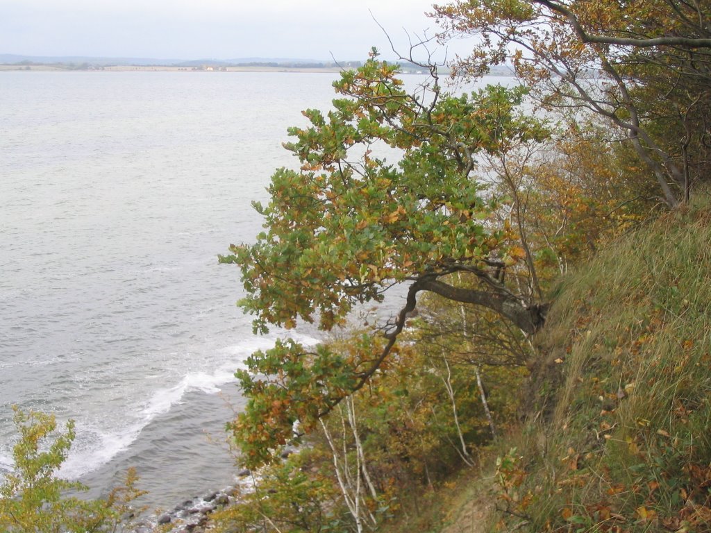 Zickersche Berge, Rügen by DGr