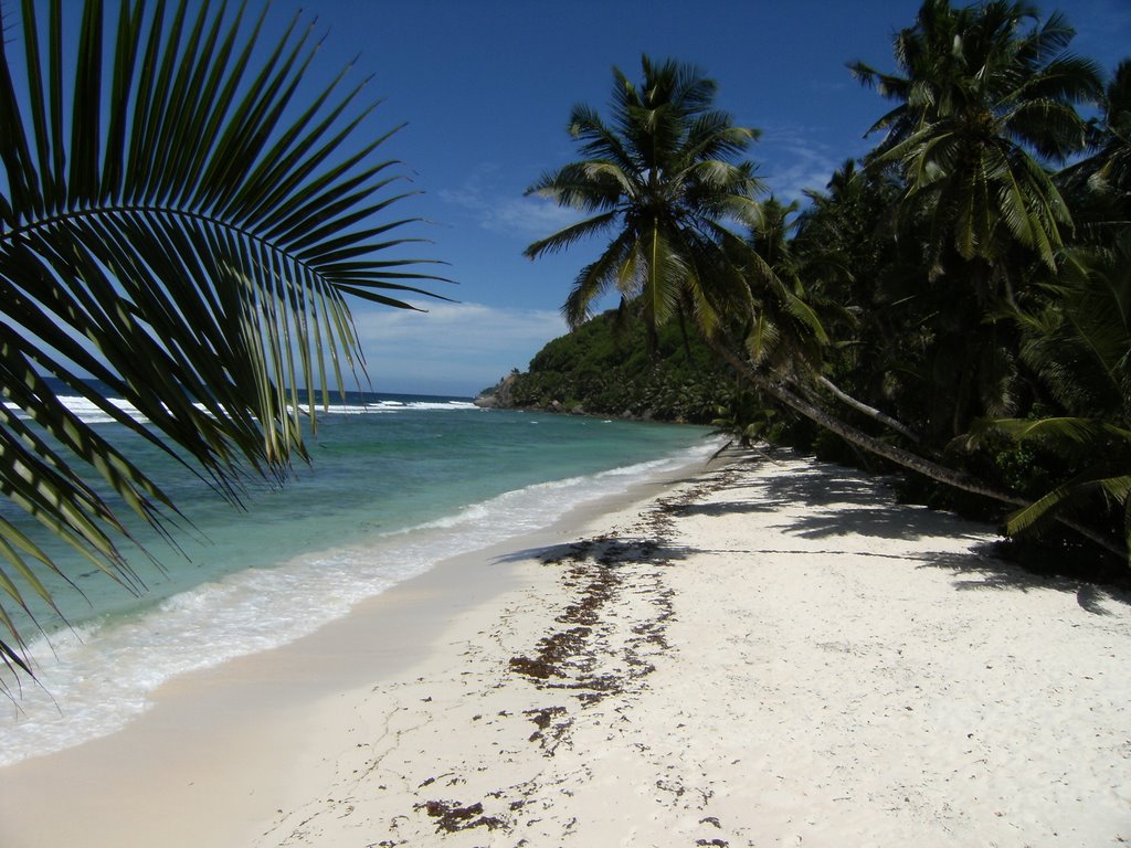 Tropical Beach Seychelles by andycalv