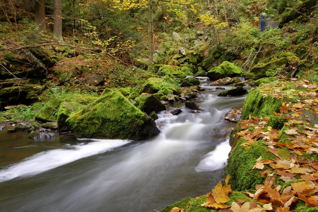 Doubravka river by bozzzz