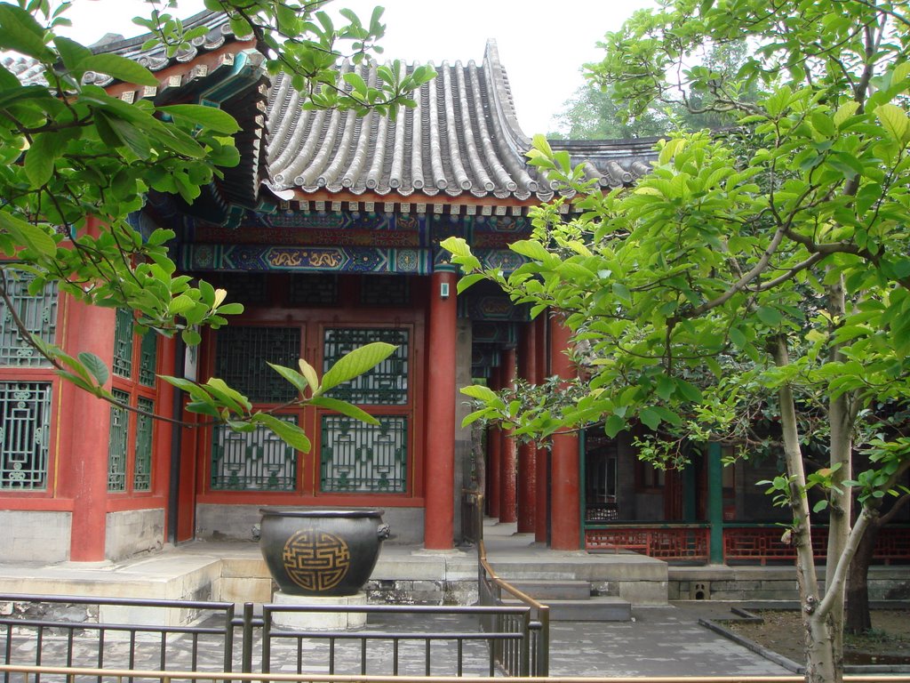 Palacio de verano en Beijing by Fernando Choza