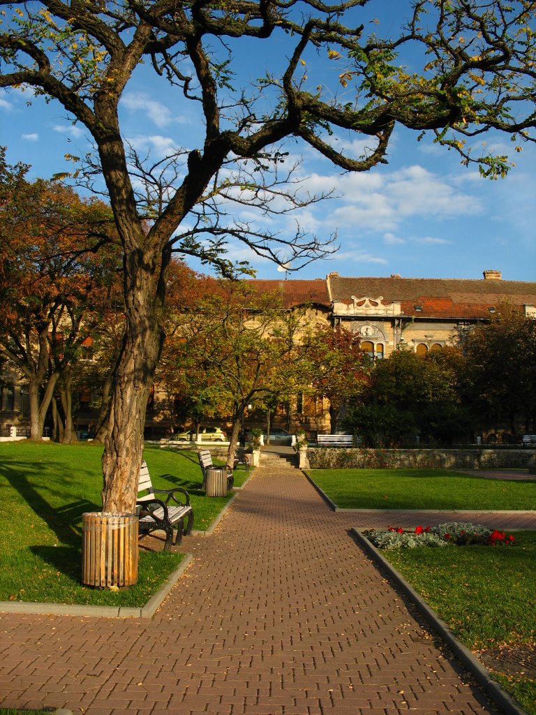 Calea Șagului, Timișoara, Romania by cipi