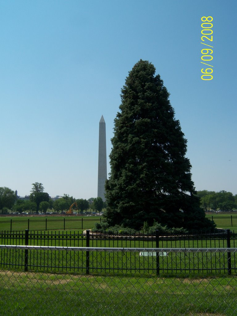 National Christmas Tree & Washington Monument by FelixRocha11