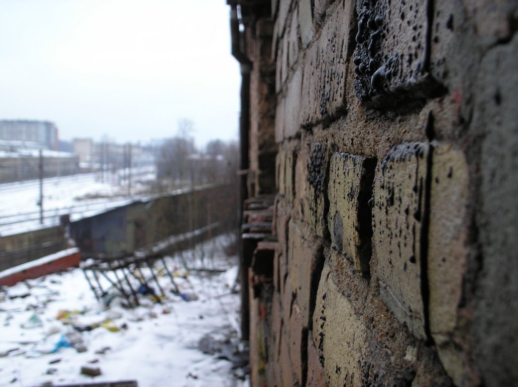 Teika, Vidzemes priekšpilsēta, Rīga, Latvia by Ldishka