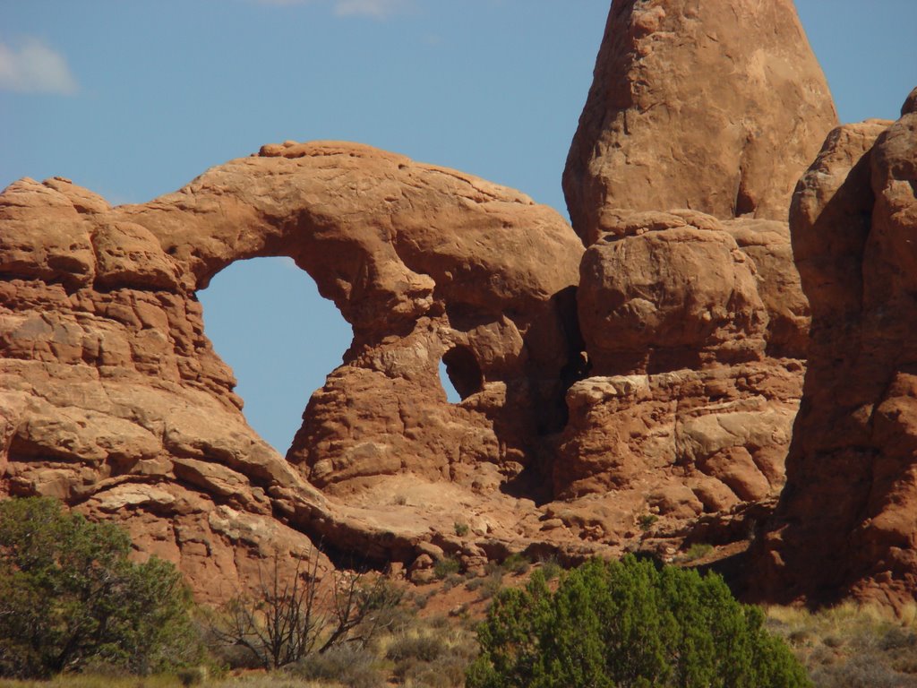 Arches: Windows section by Ge Nielissen