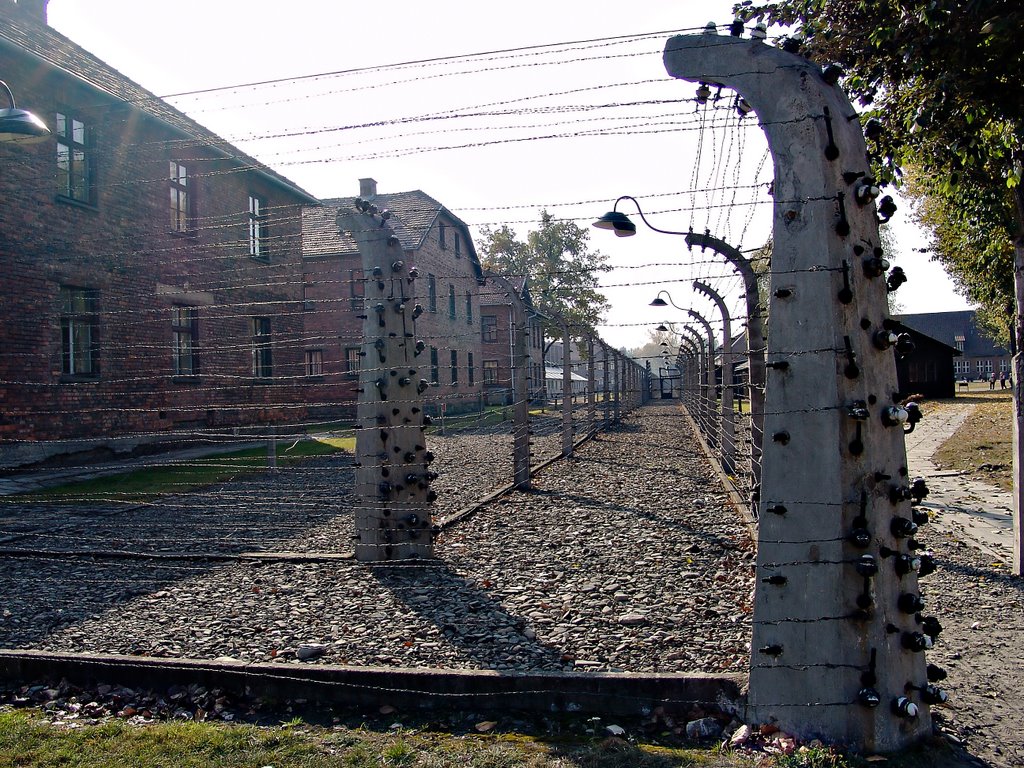 Auschwitz 2. by Preli