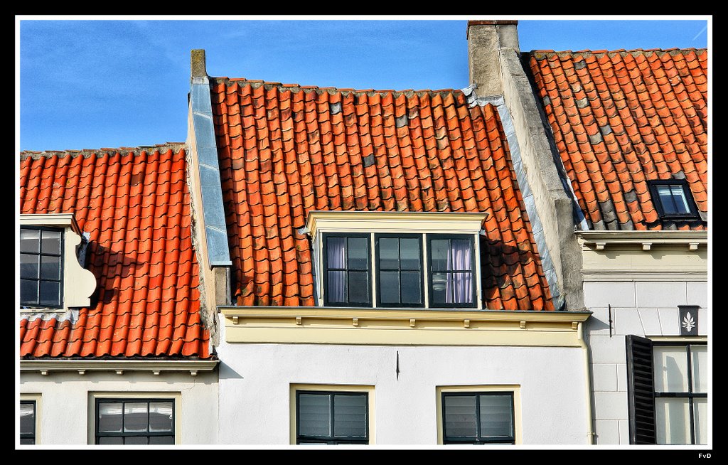 Red roofs by Fred van Daalen