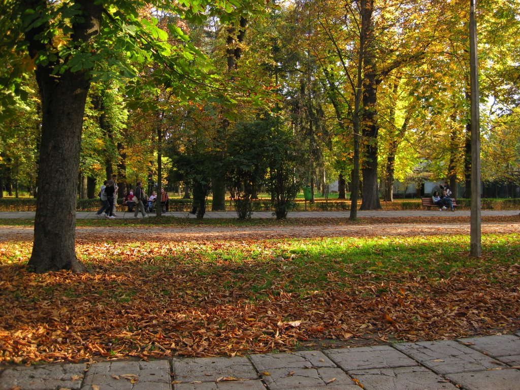 Parcul Central / Central Park, Cluj-Napoca by horalex