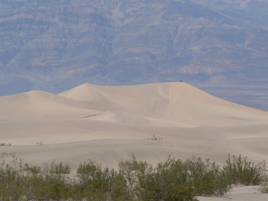 Dune a Stovepipe Wells by BaldoTravel