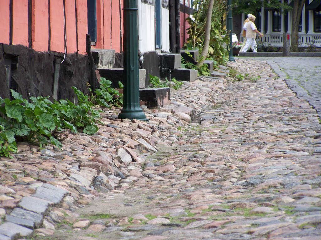 Strada stortina... by Danilo Sgherri