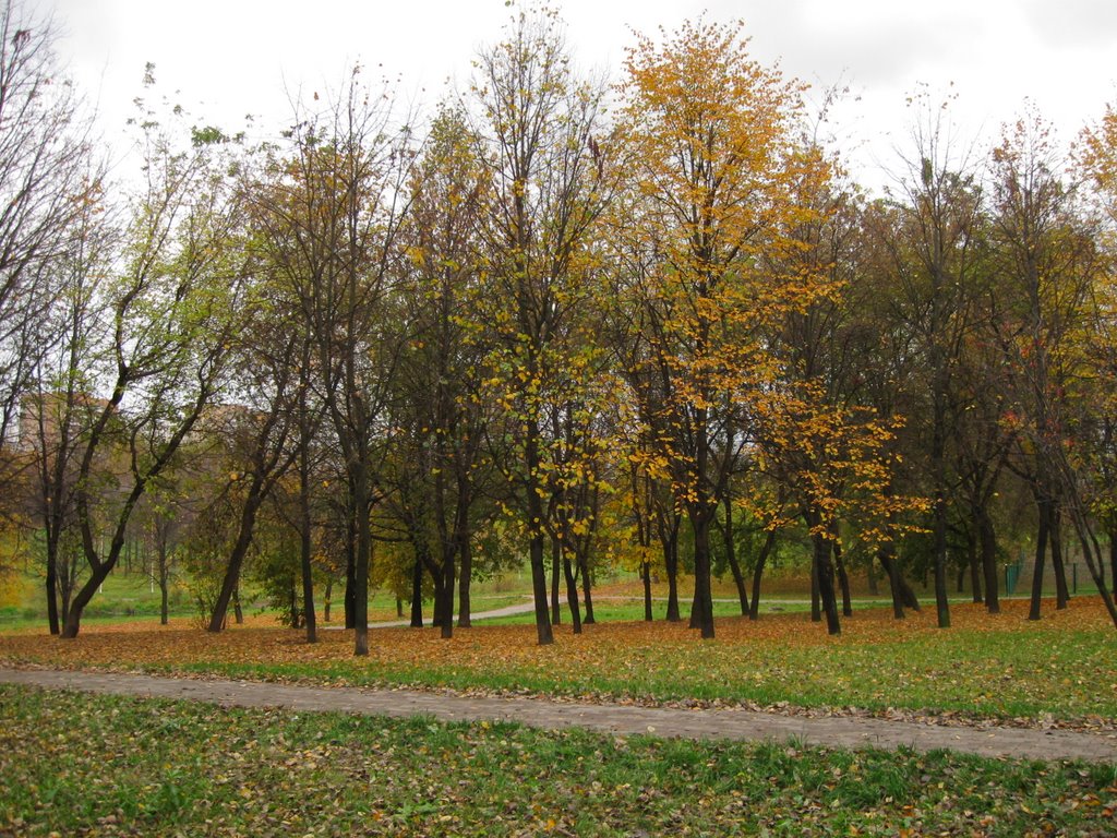 Парк около р. Яузы/Park on Yayza river bank by Vas_Nick