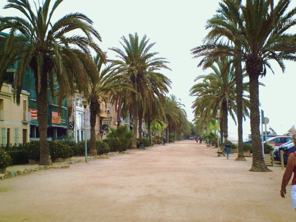 Die Promenade in Calella, im Oktober by dorkadoris