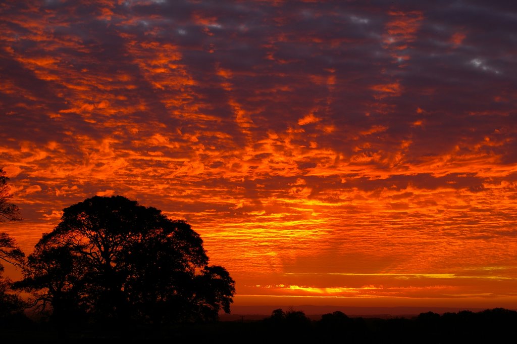 Morning glow by bob usher