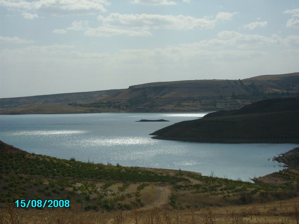 Kuşçu, 38100 Kocasinan/Kayseri, Turkey by Mehmet Yetüt