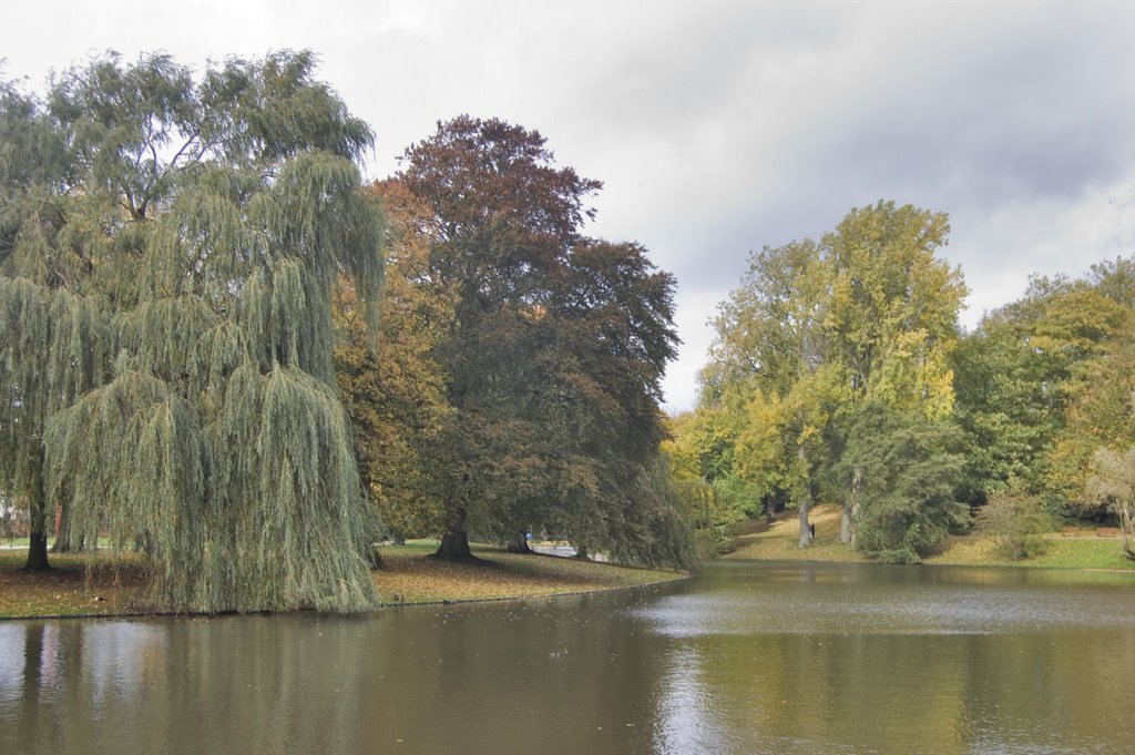 Vijver in de herfst by Guido Musch