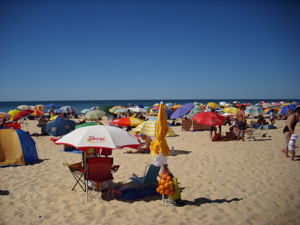 Altura Beach in August by John Cotter