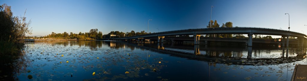 The freeway from Marsh Island, Washington by Tom D Ringold